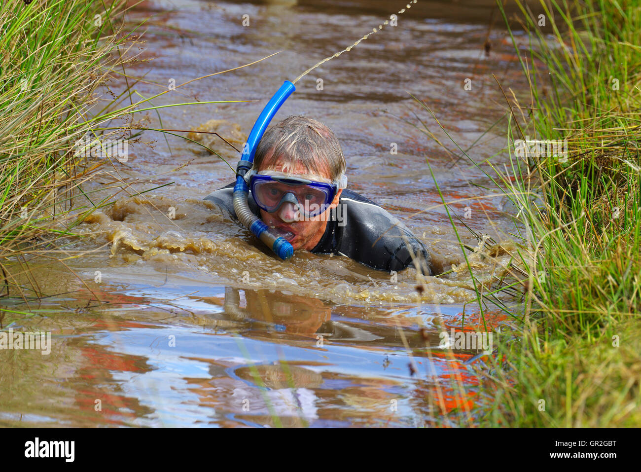 Bog Snorkeling a Llanwrtyd Wells, Galles Foto Stock