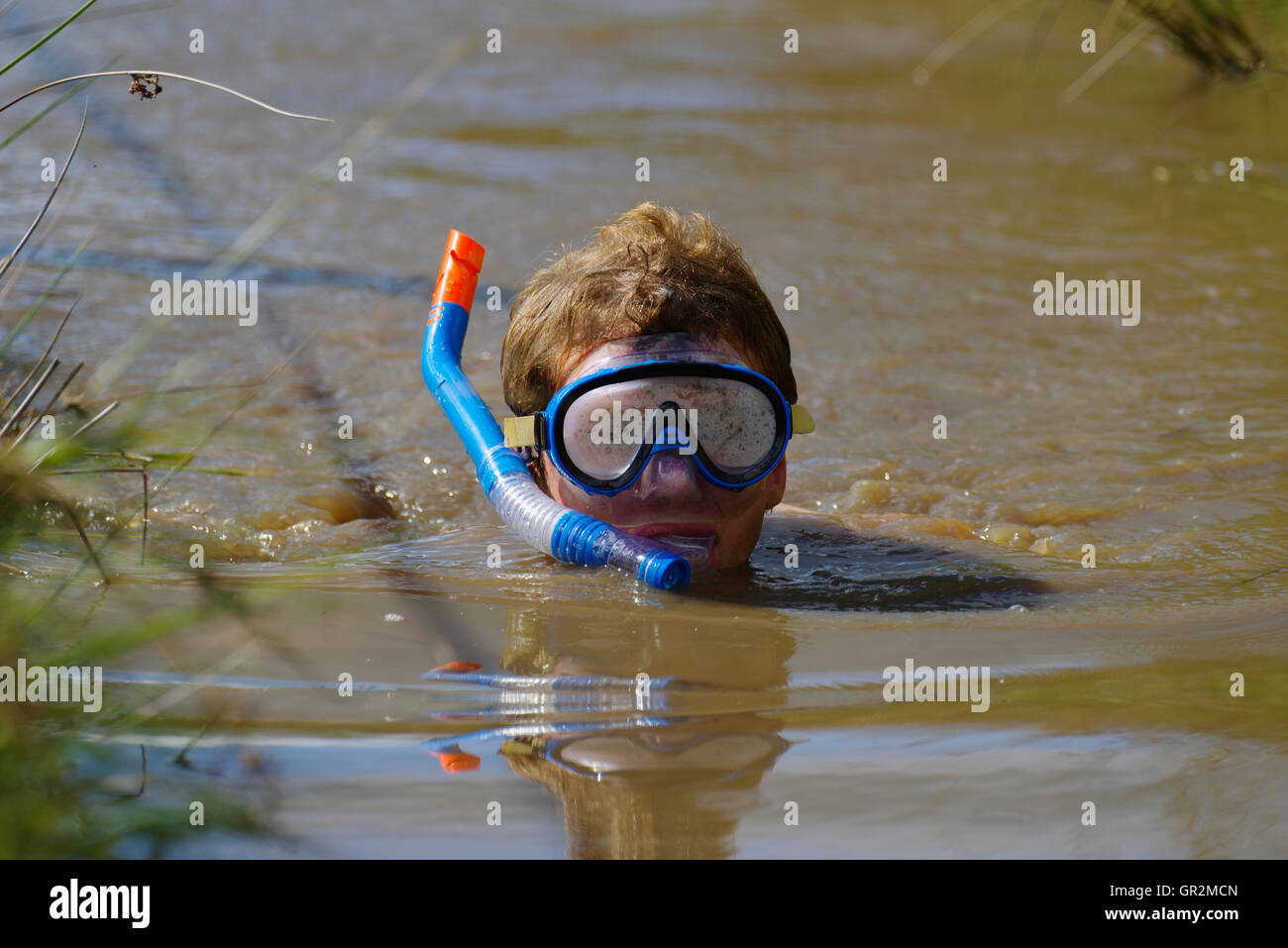 Bog Snorkeling a Llanwrtyd Wells, Galles Foto Stock