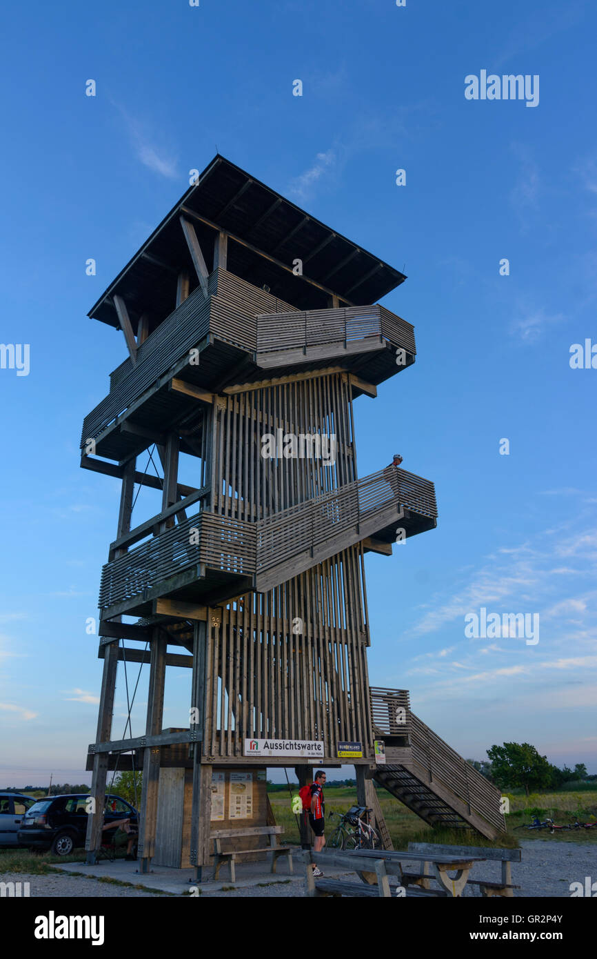 Illmitz: torre di osservazione Hölle, ciclista, Austria, Burgenland, parco nazionale Neusiedler See (lago di Neusiedl) -Seewinkel Foto Stock