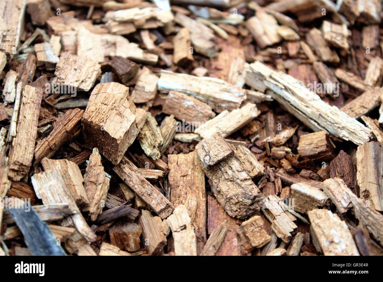 Trucioli di legno Foto Stock