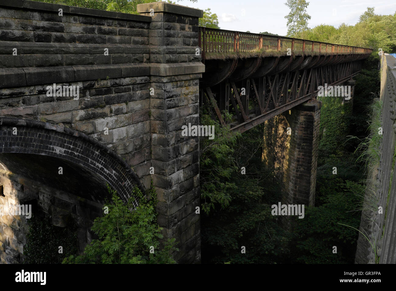 Milers Dale viadotto, in disuso la linea ferroviaria, DERBYSHIRE REGNO UNITO Foto Stock