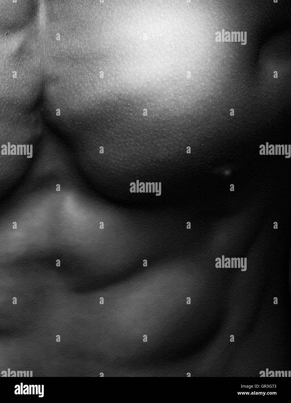 Il corpo umano in bianco e nero Foto Stock