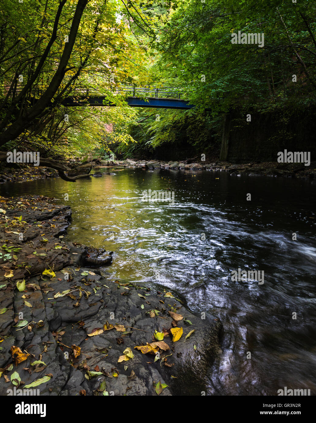 Un inizio autunno vista del Blue Bridge crossing scheletro Beck, Cleveland, Saltburn,North Yorkshire. Foto Stock