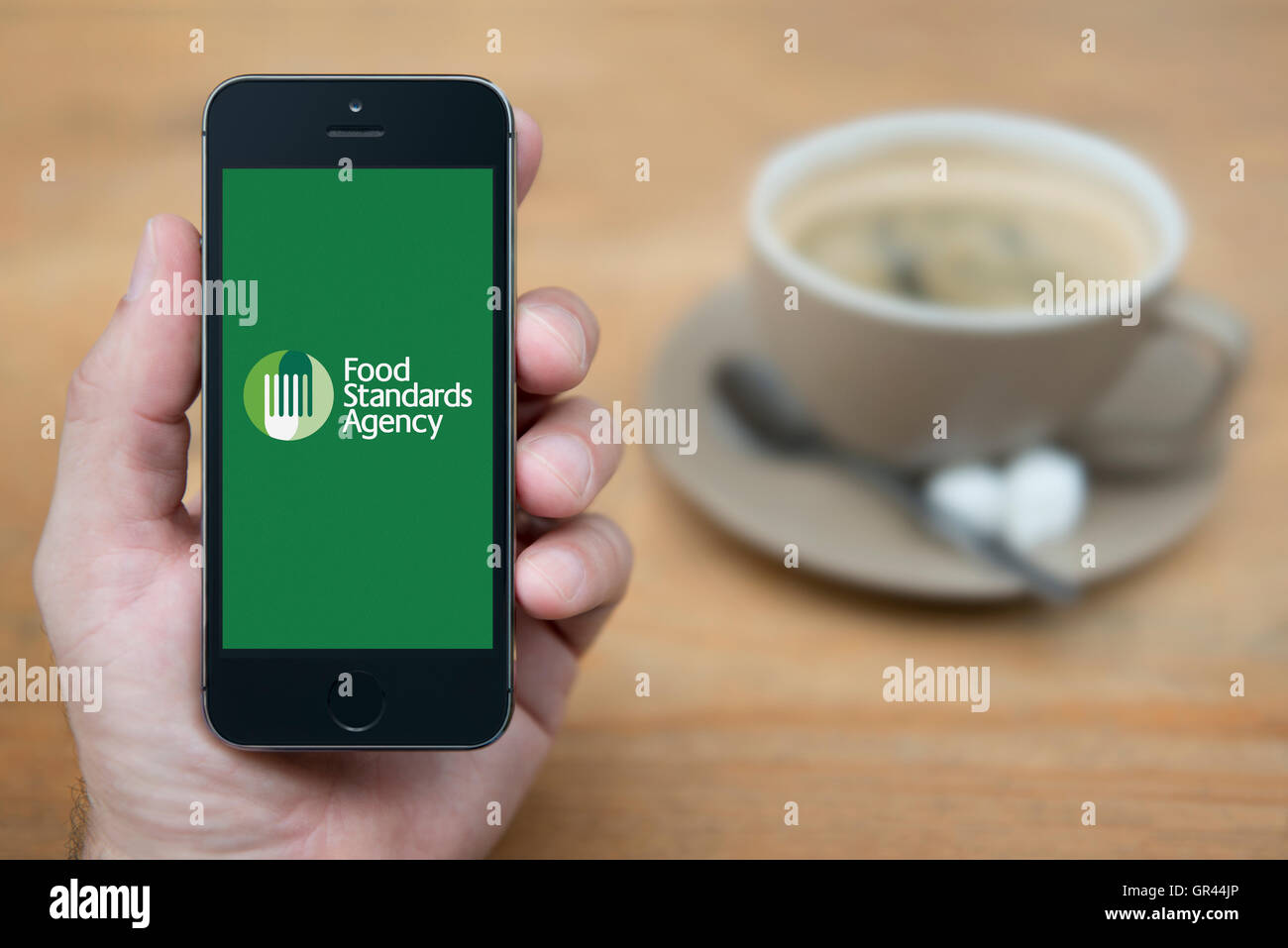 Un uomo guarda al suo iPhone che visualizza il governo britannico Food Standards Agency logo (solo uso editoriale). Foto Stock