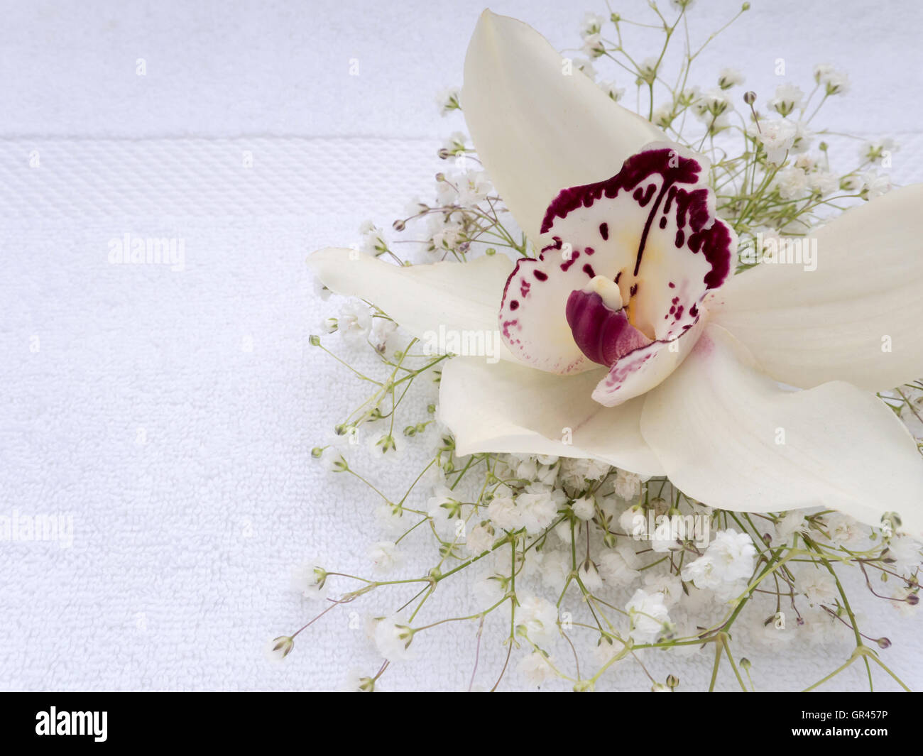 Fiore di orchidee e gypsophila buhch sul bianco asciugamani in spugna Foto Stock