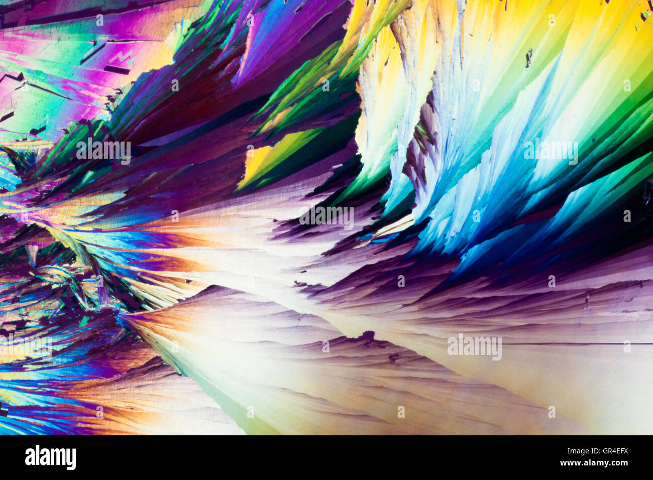 Acido benzoico cristalli in luce polarizzata Foto Stock