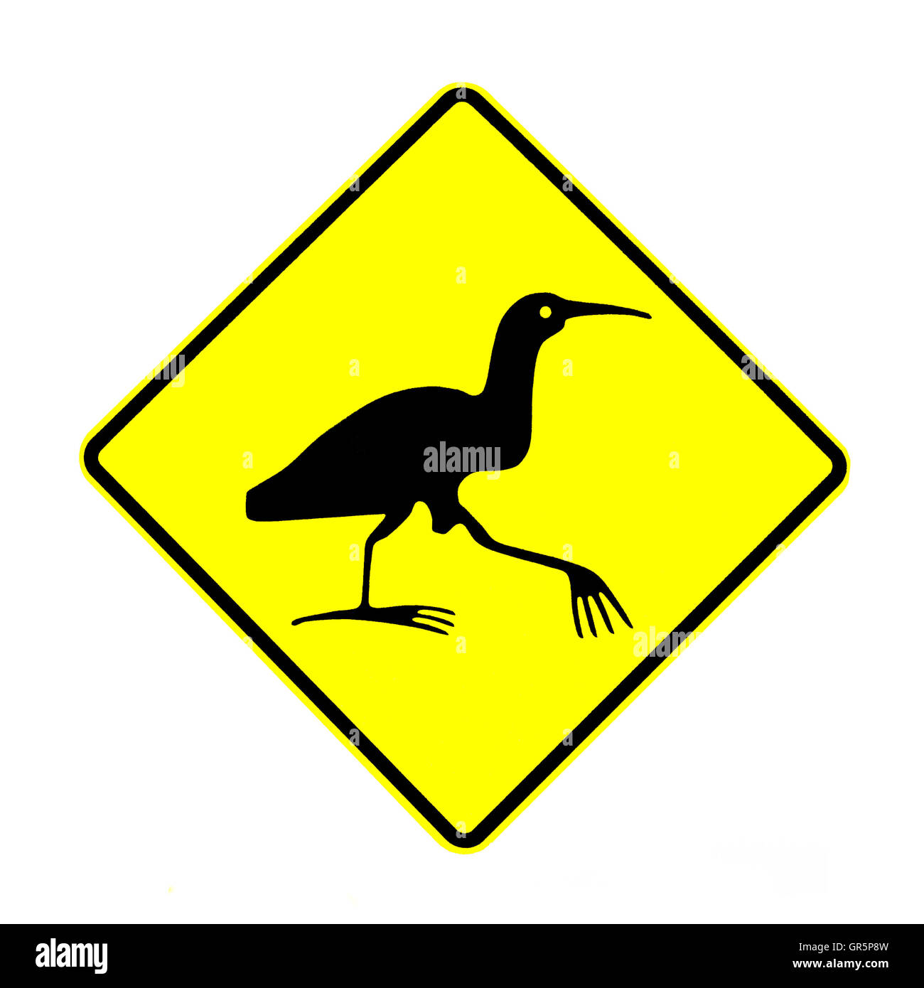 NZ Attenzione tarabuso attraversando cartello stradale su bianco Foto Stock