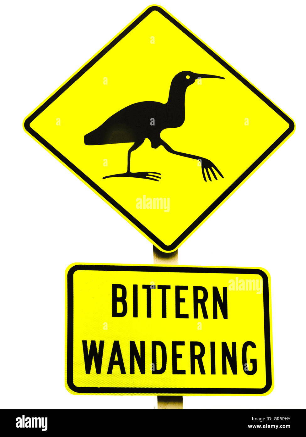 NZ Attenzione tarabuso attraversando cartello stradale su bianco Foto Stock