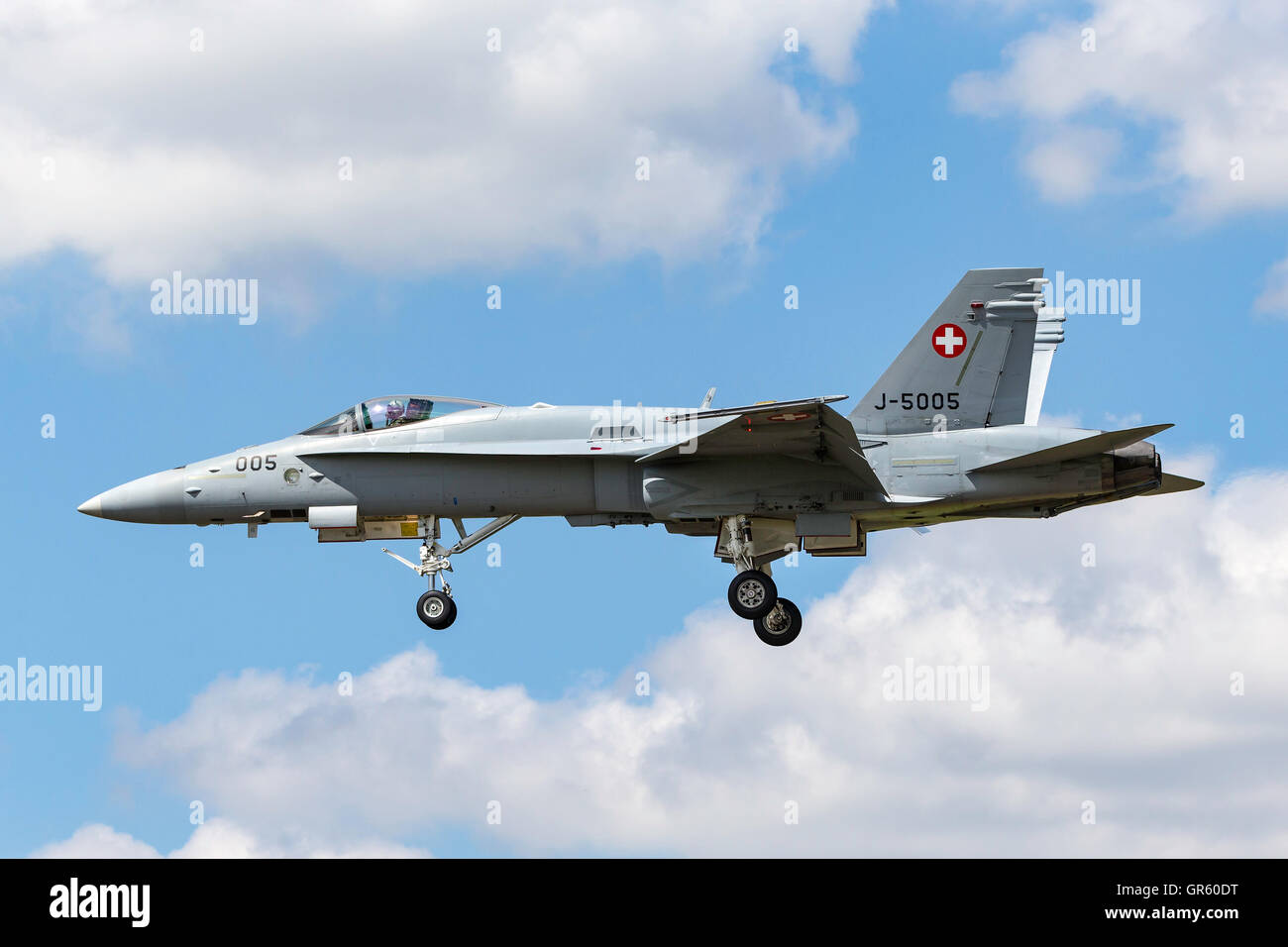 Swiss Air Force (Schweizer Luftwaffe) McDonnell Douglas F/A-18C Fighter Aircraft J-5005 Foto Stock