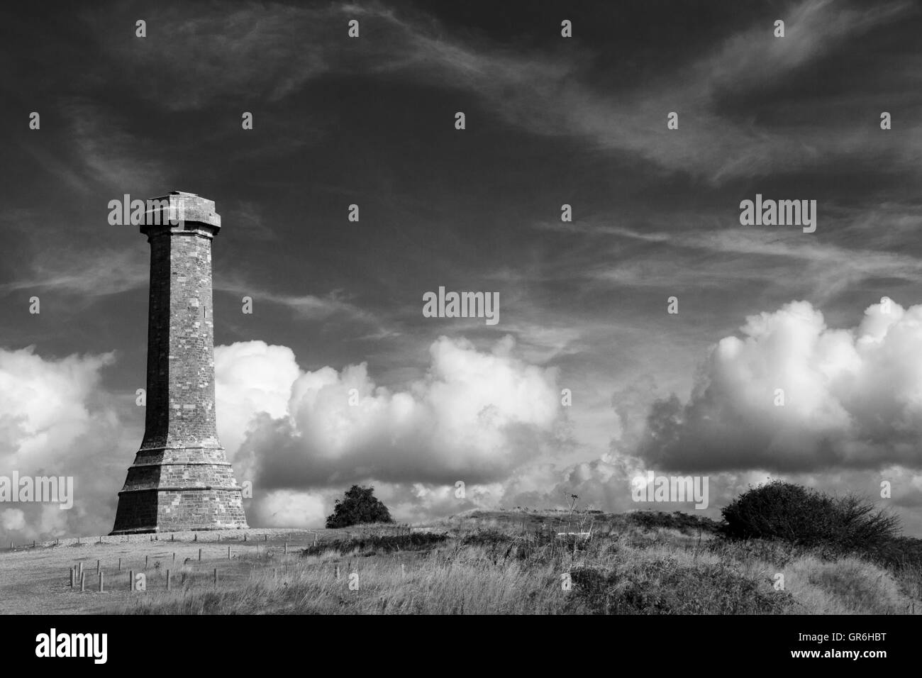 La Hardy Monument in nero fino nei pressi del villaggio di Portesham in Dorset, in memoria del vice ammiraglio sir Thomas Masterman Hardy, Foto Stock