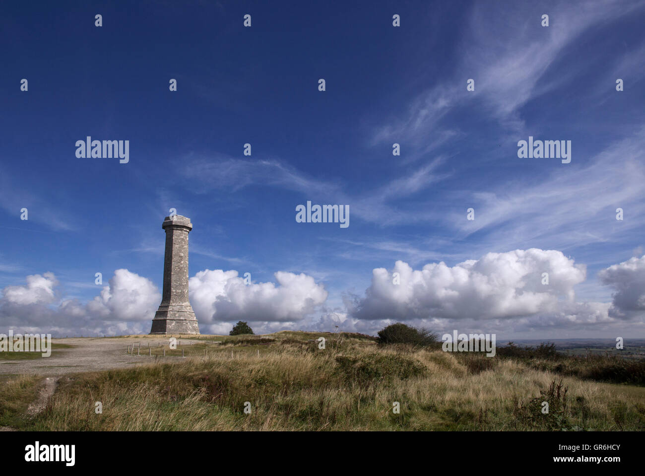 La Hardy Monument in nero fino nei pressi del villaggio di Portesham in Dorset, in memoria del vice ammiraglio sir Thomas Masterman Hardy, Foto Stock