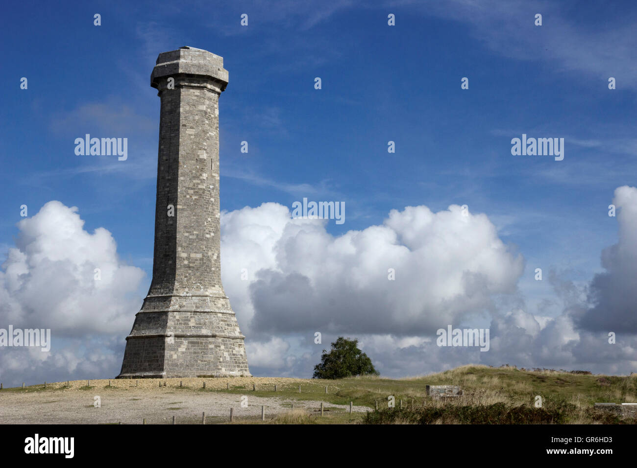 La Hardy Monument in nero fino nei pressi del villaggio di Portesham in Dorset, in memoria del vice ammiraglio sir Thomas Masterman Hardy, Foto Stock