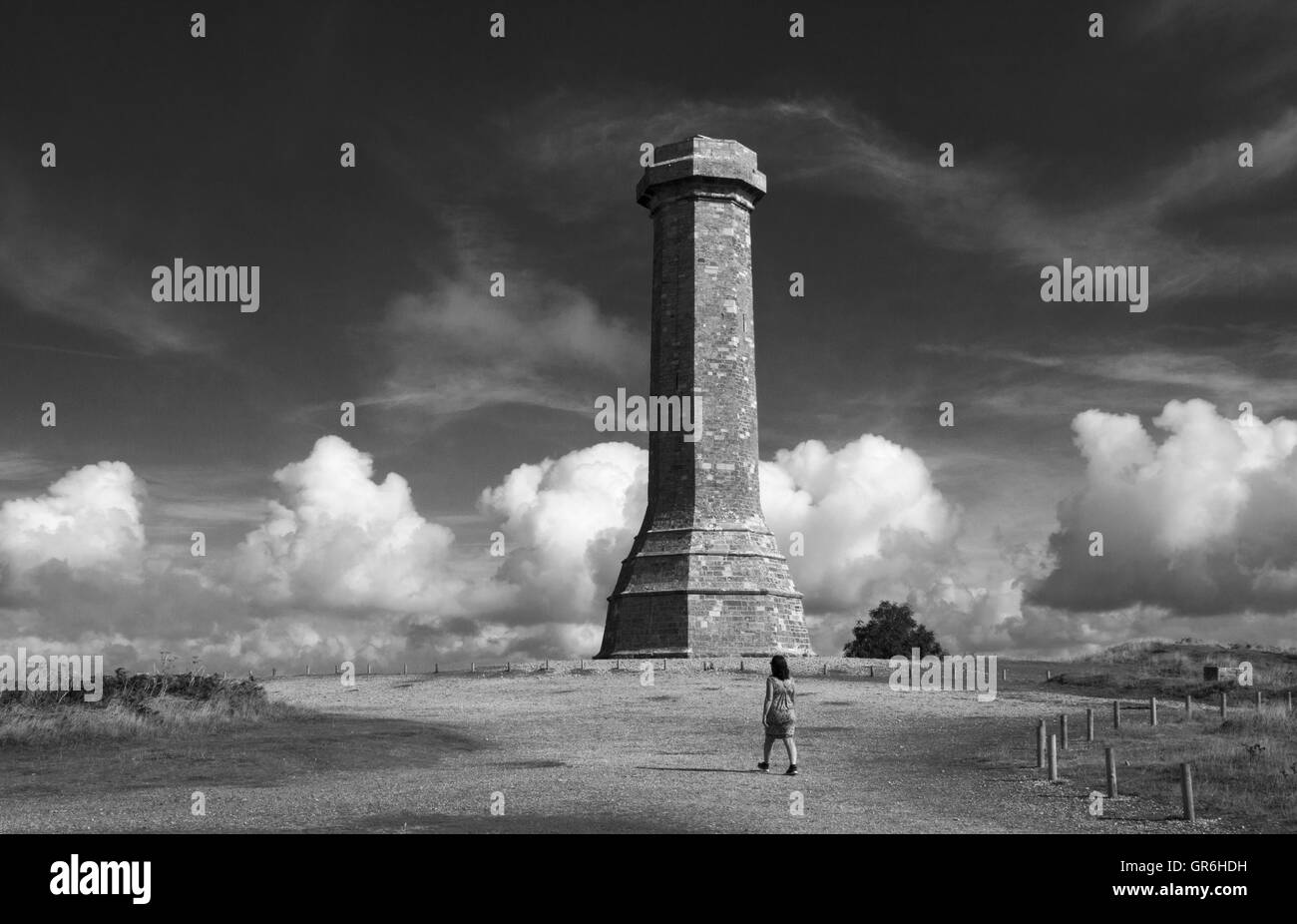 La Hardy Monument in nero fino nei pressi del villaggio di Portesham in Dorset, in memoria del vice ammiraglio sir Thomas Masterman Hardy, Foto Stock