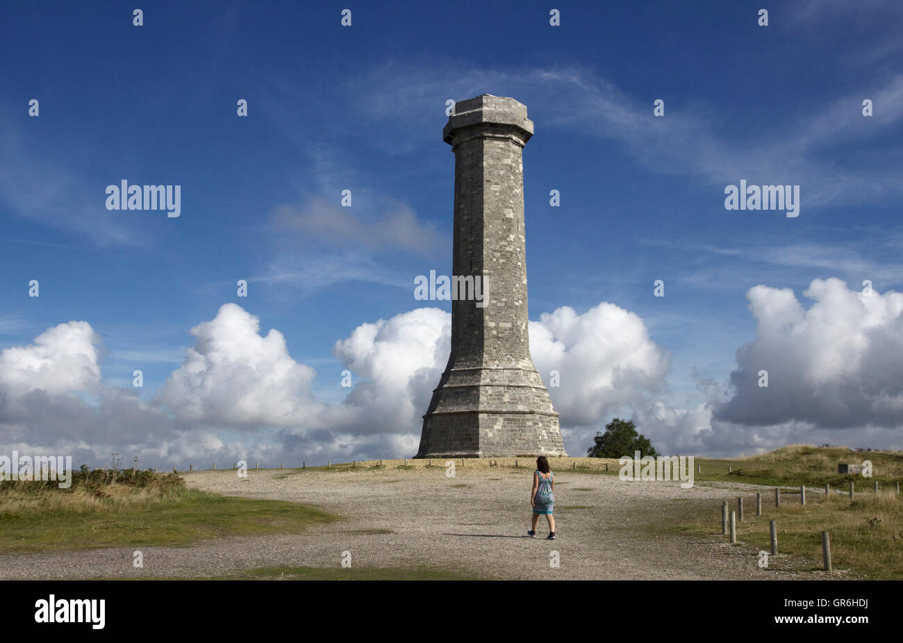 La Hardy Monument in nero fino nei pressi del villaggio di Portesham in Dorset, in memoria del vice ammiraglio sir Thomas Masterman Hardy, Foto Stock