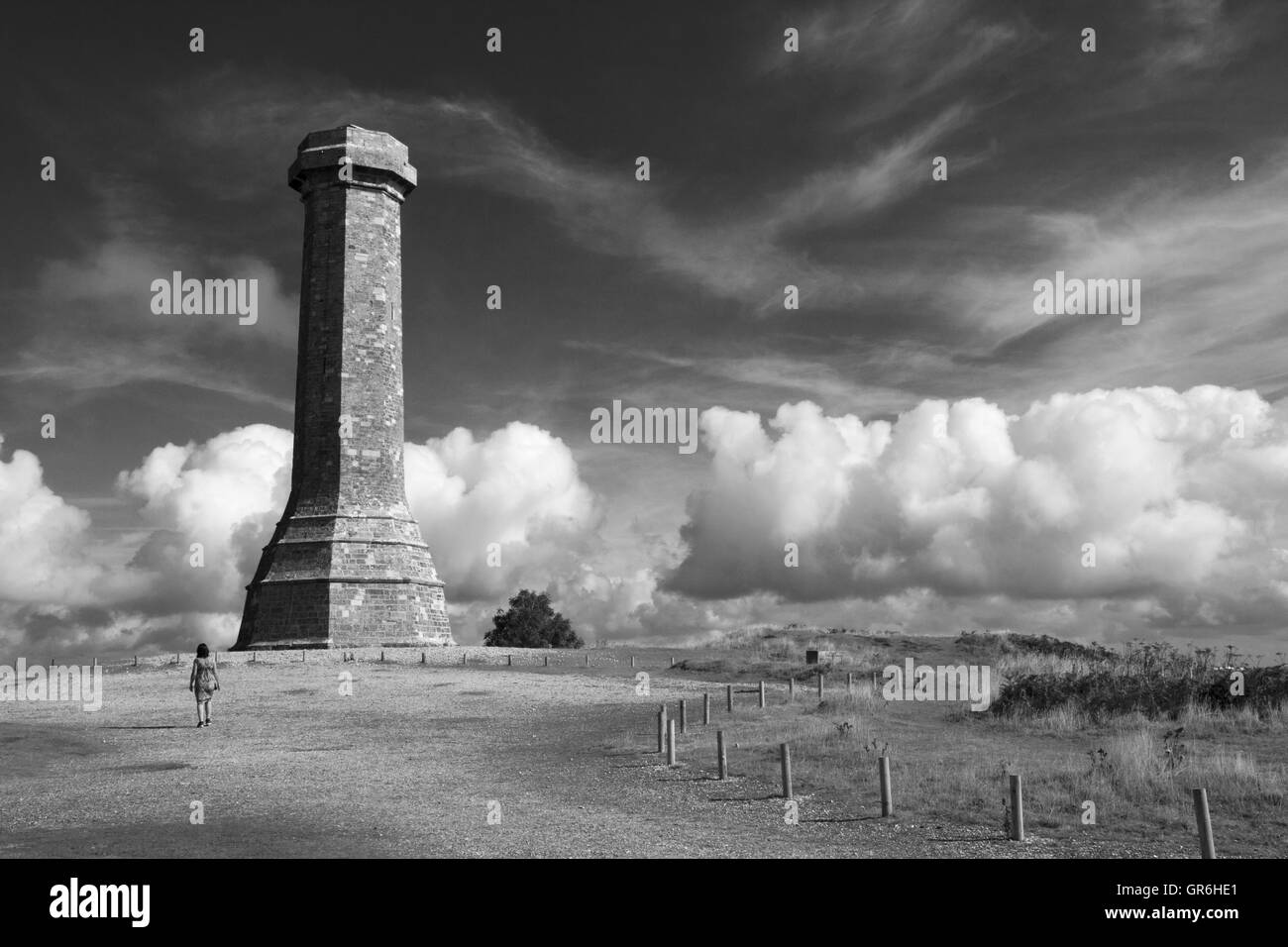 La Hardy Monument in nero fino nei pressi del villaggio di Portesham in Dorset, in memoria del vice ammiraglio sir Thomas Masterman Hardy, Foto Stock