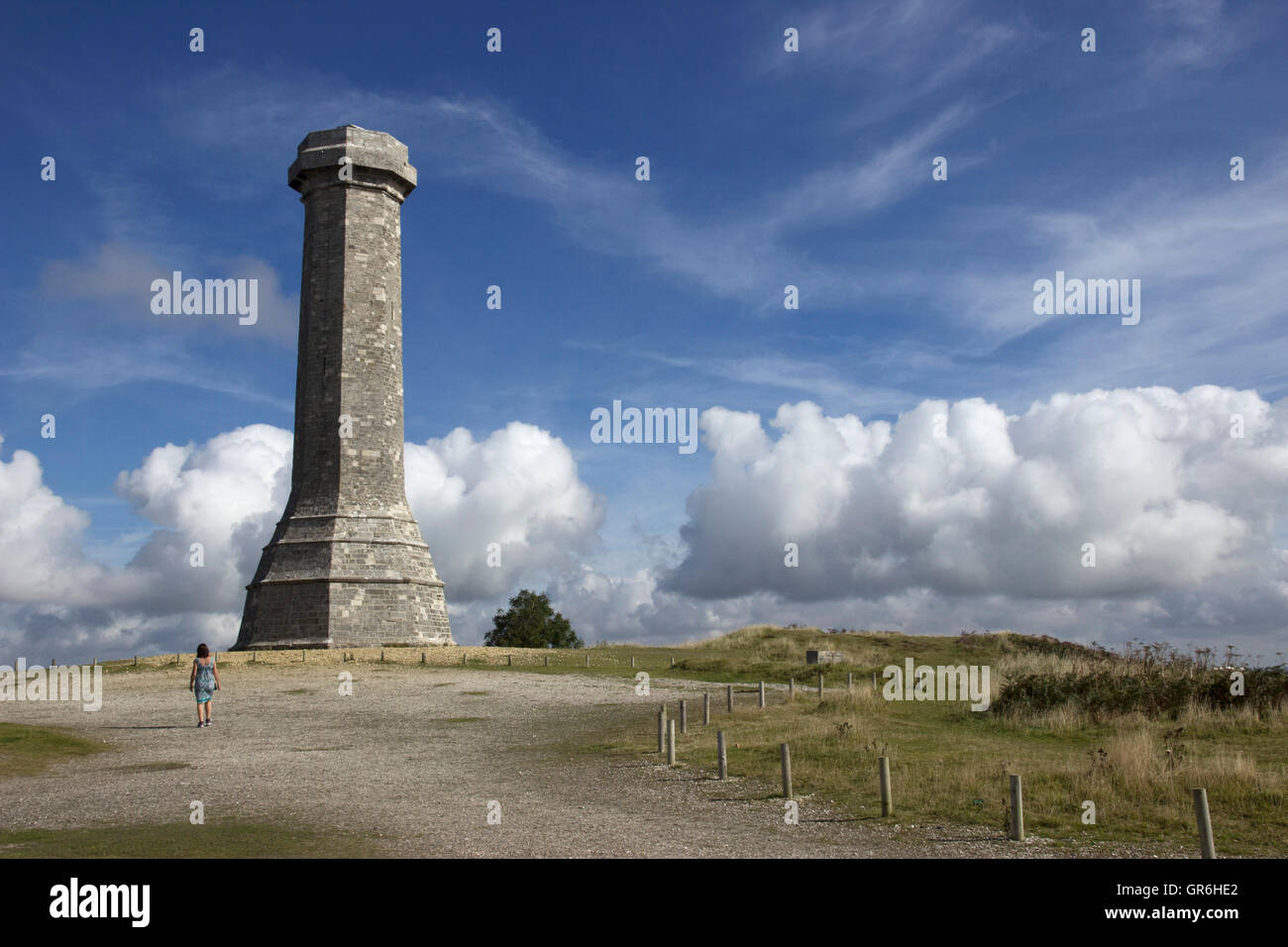 La Hardy Monument in nero fino nei pressi del villaggio di Portesham in Dorset, in memoria del vice ammiraglio sir Thomas Masterman Hardy, Foto Stock