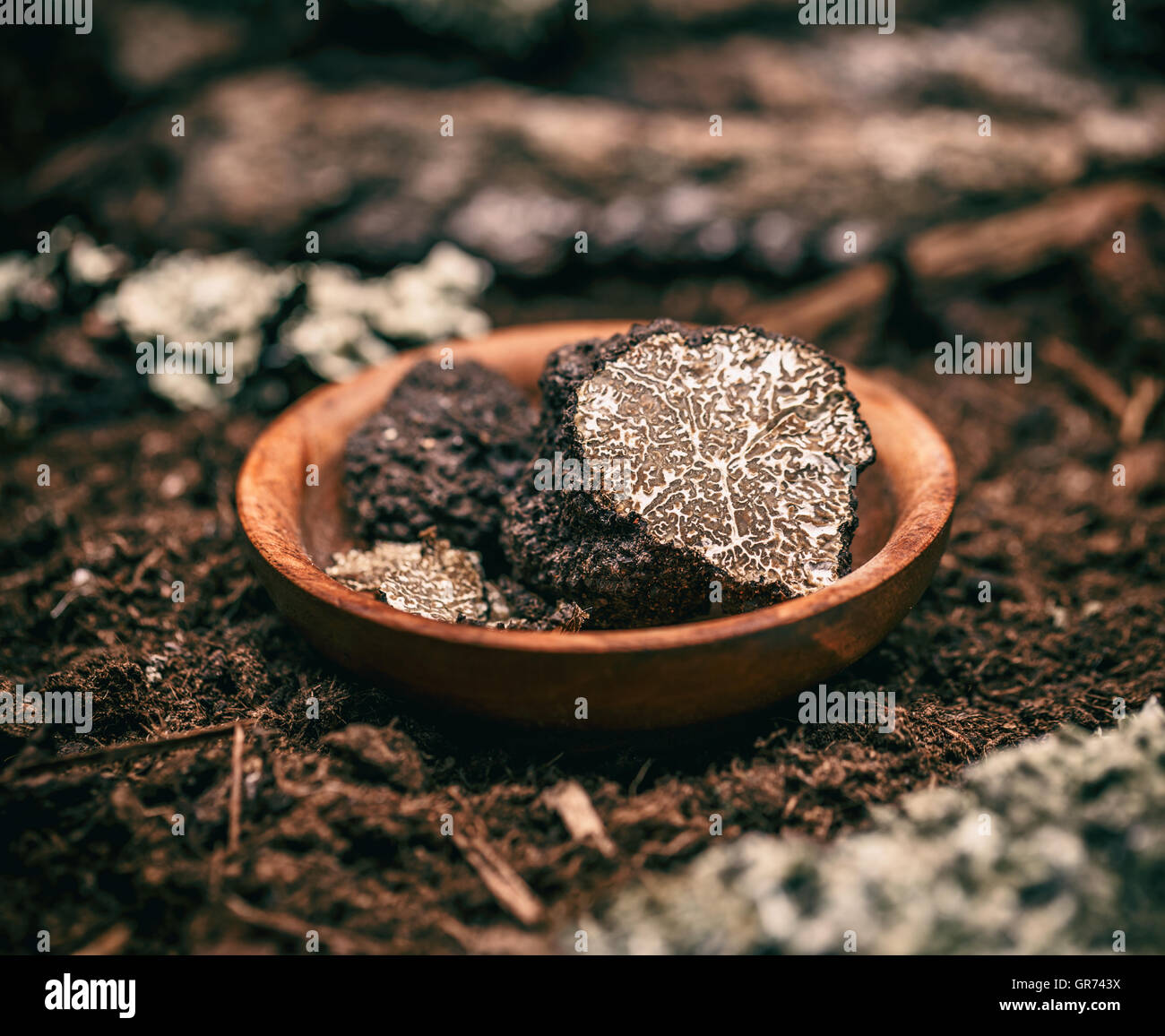 Costoso raro tartufo nero fungo Foto Stock