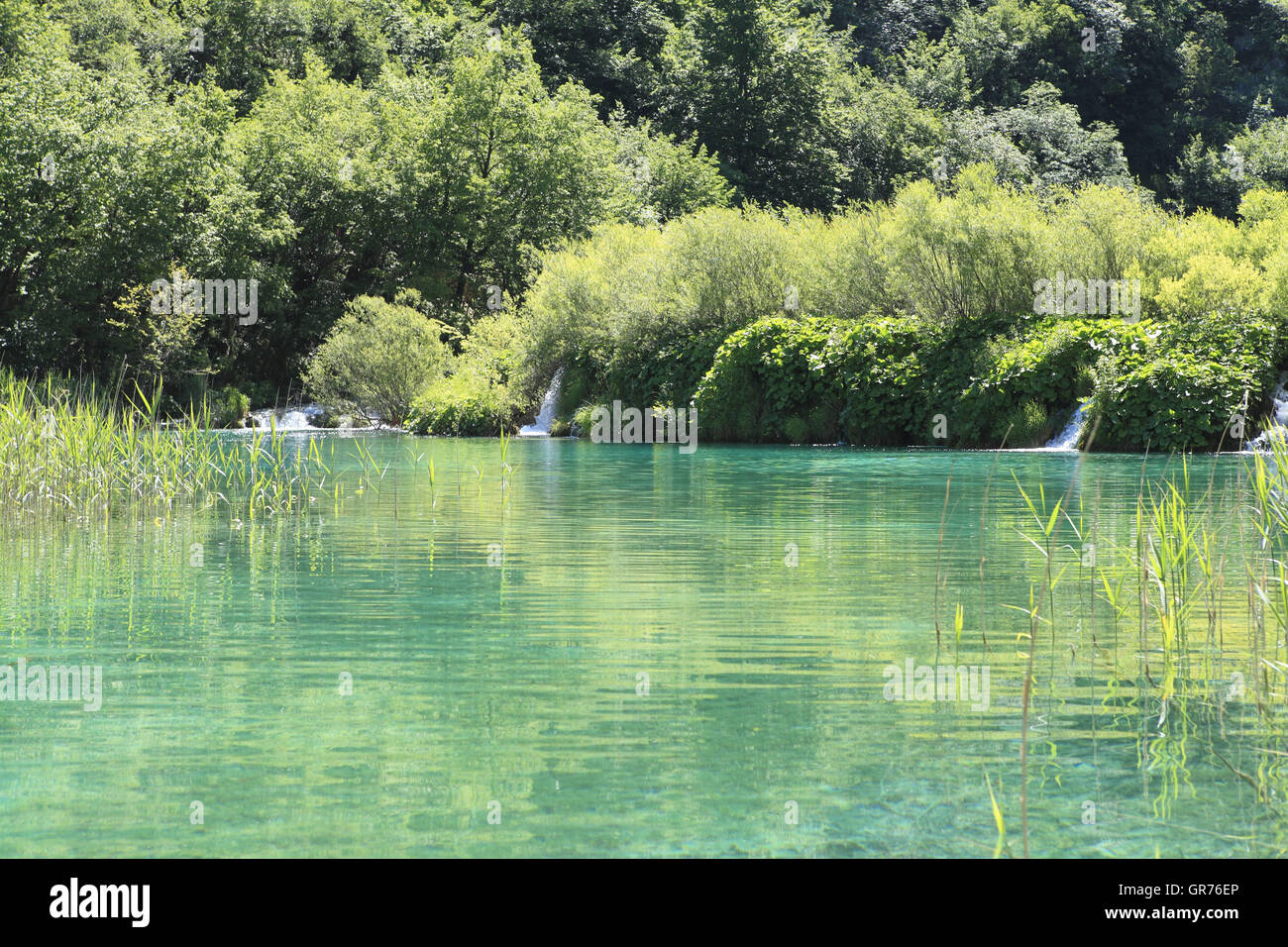 Il Parco Nazionale dei Laghi di Plitvice, Croazia, Europa Foto Stock