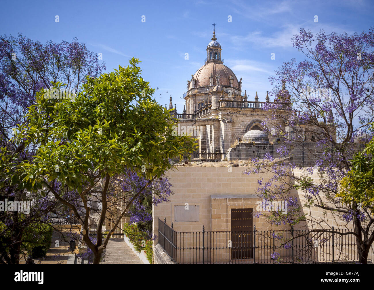 Blick auf die Kathedrale in Jerez De La Frontera, Spanien Foto Stock
