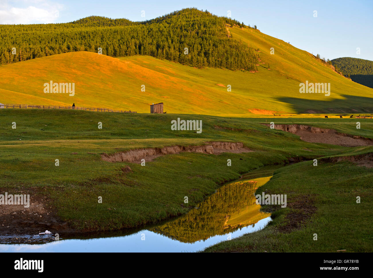 Paesaggio collinare nella valle dell'Orkhon, Mongolia Foto Stock