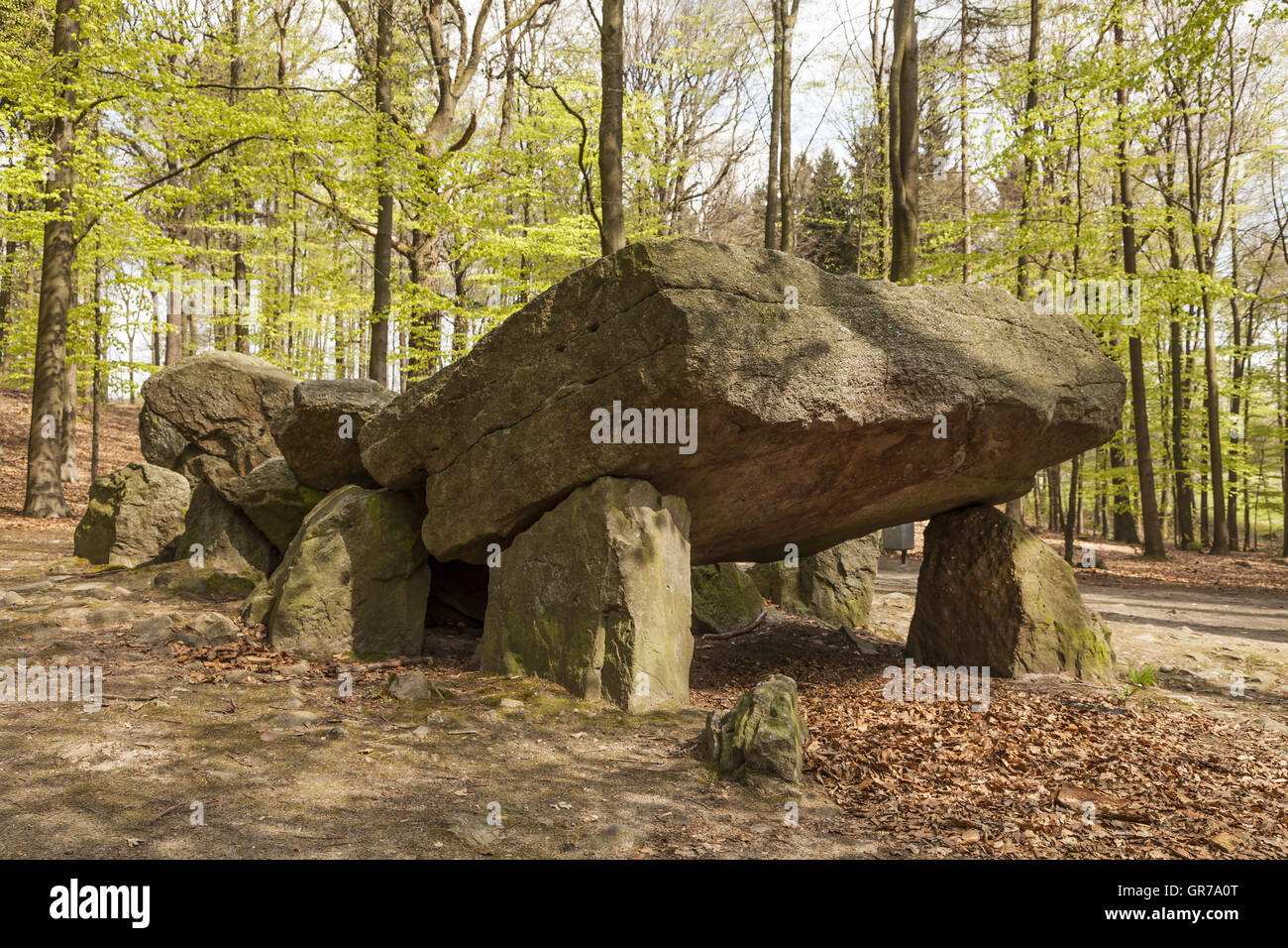 Passaggio del neolitico tomba megalitica, pietre In Osnabrueck-Haste, Osnabrueck paese, Germania Foto Stock