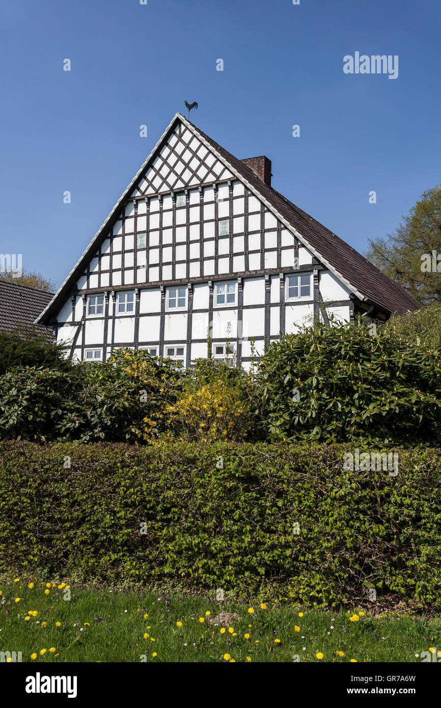 Casa con travi di legno in Bad Iburg, Osnabrück paese, Bassa Sassonia, Germania Foto Stock