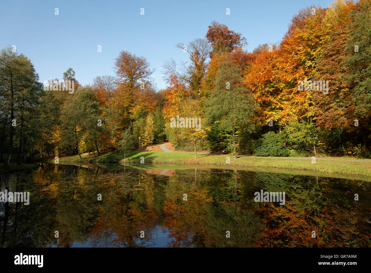 Paesaggio di stagno in autunno, Bad Iburg, Osnabrueck paese, Germania Foto Stock