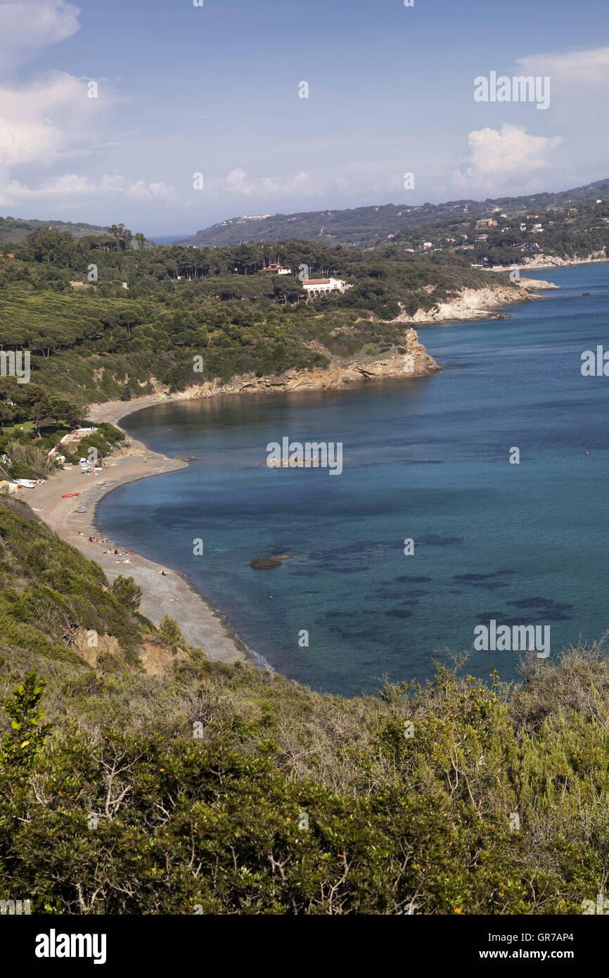 La costa vicino a Lacona, Isola d'Elba, Toscana, Italia, Europa Foto Stock
