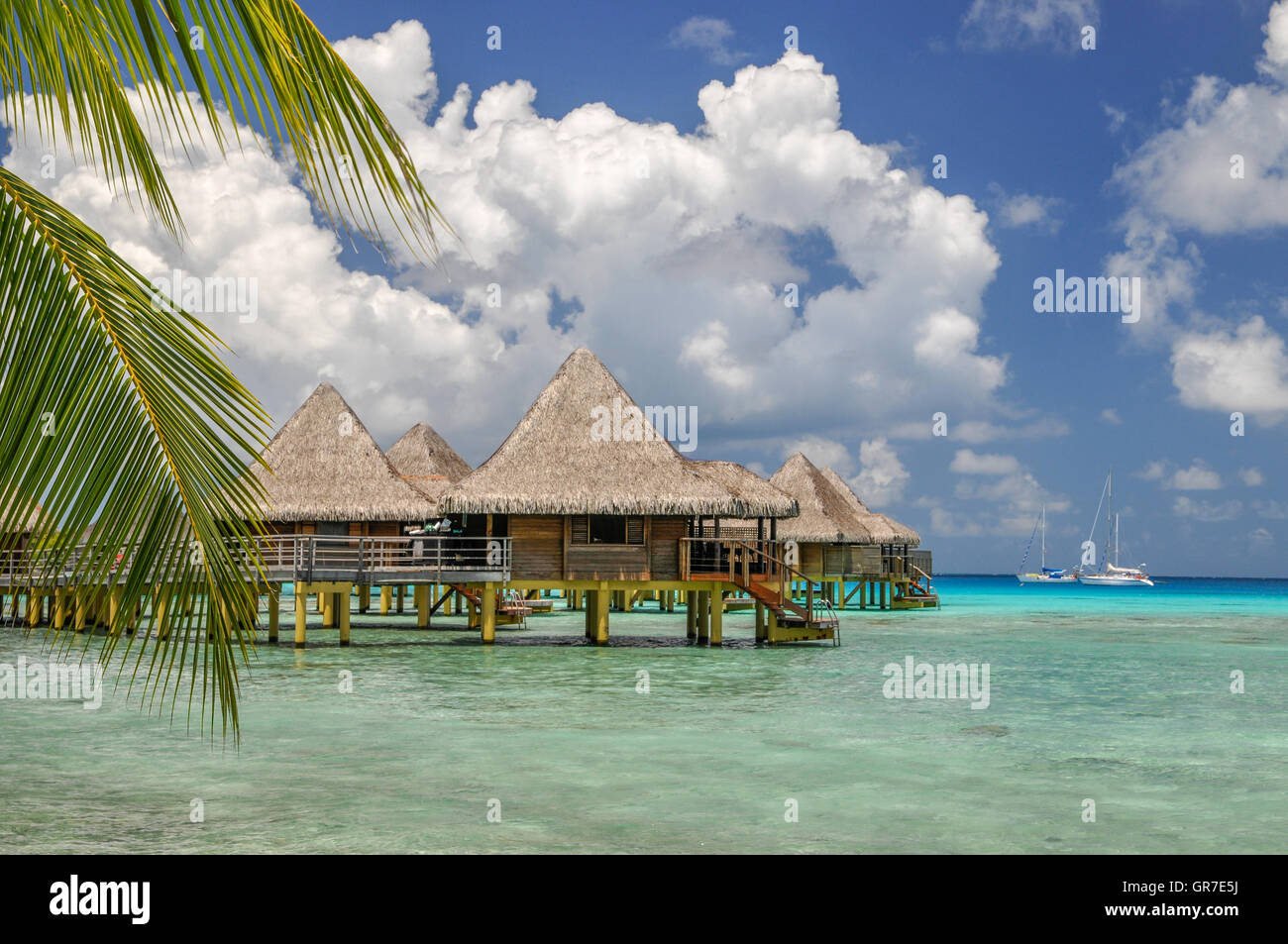 Mari del sud Foto Stock