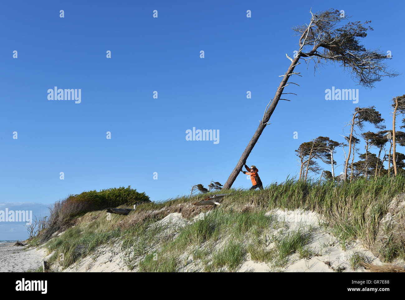 Donna in riva al mare Foto Stock