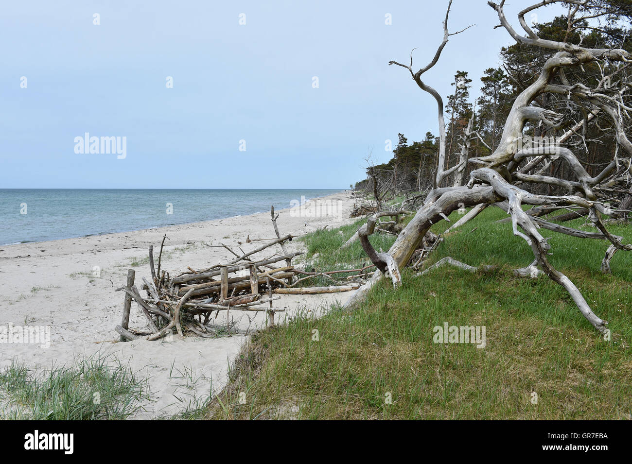 Spiaggia sul Mar Baltico Foto Stock