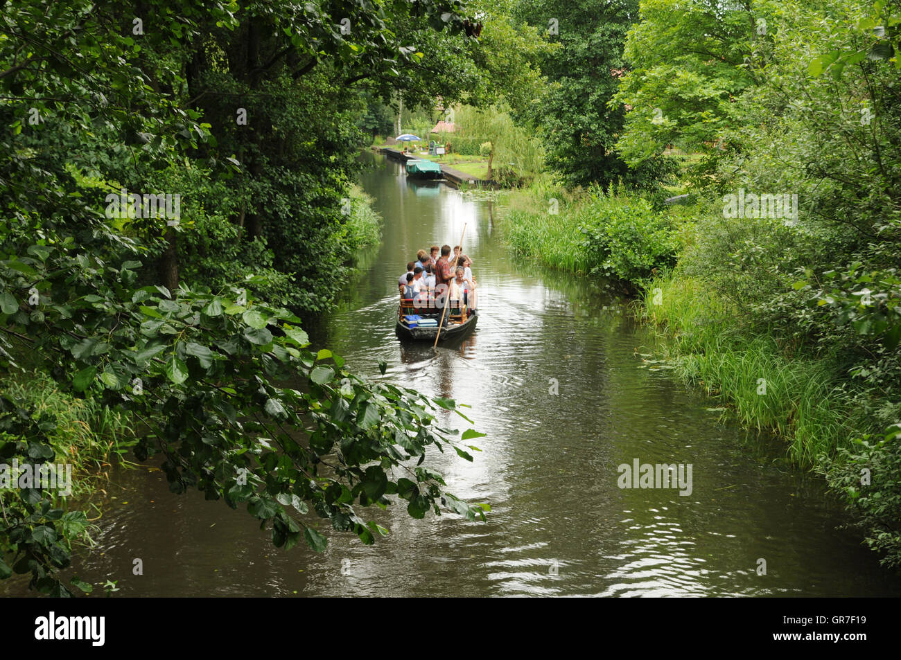 Viaggio nella foresta di Sprea Foto Stock