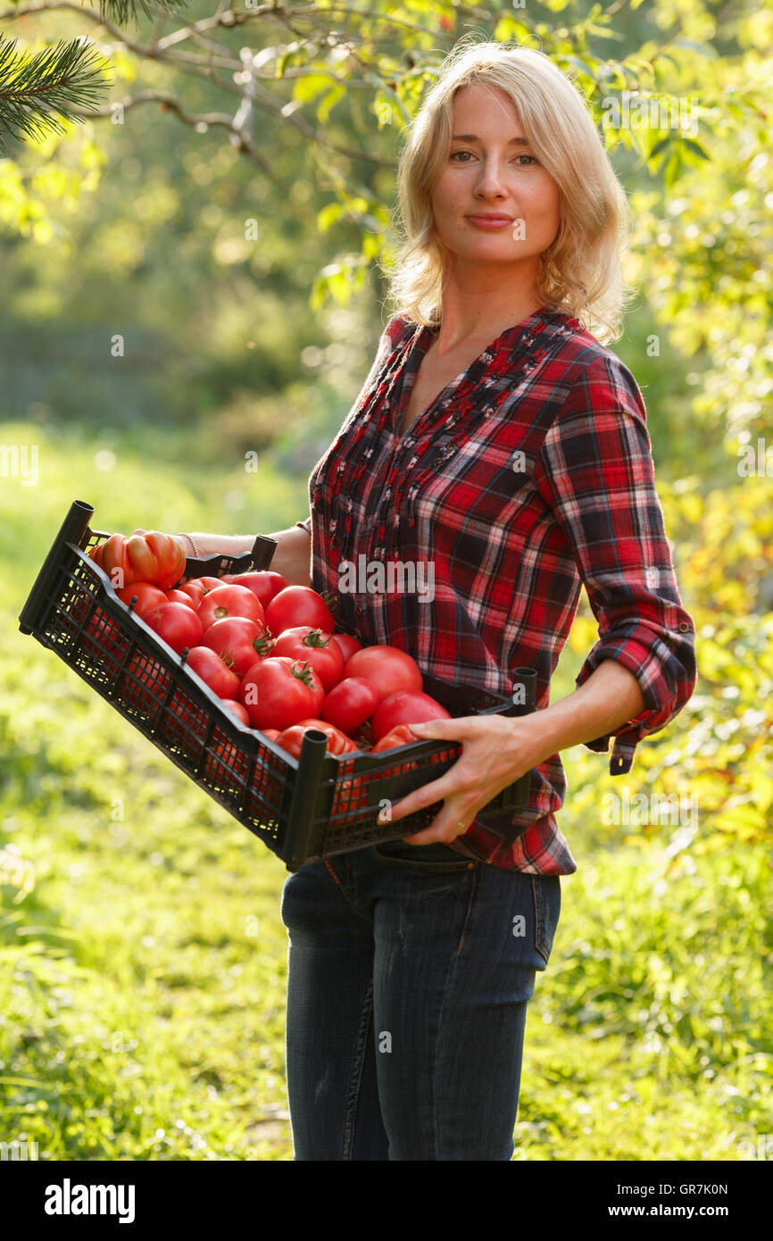 Donna che mantiene una scatola di plastica del cimelio di pomodori. Orticoltura, il raccolto, il contadino locale concetto. Foto Stock