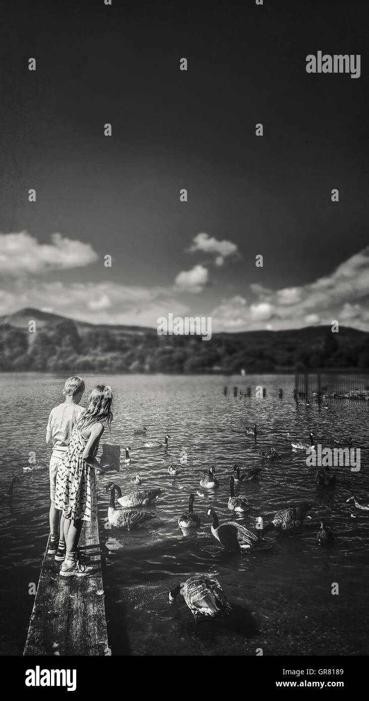 Due bambini in piedi su legno dal lago e anatre di alimentazione Foto Stock