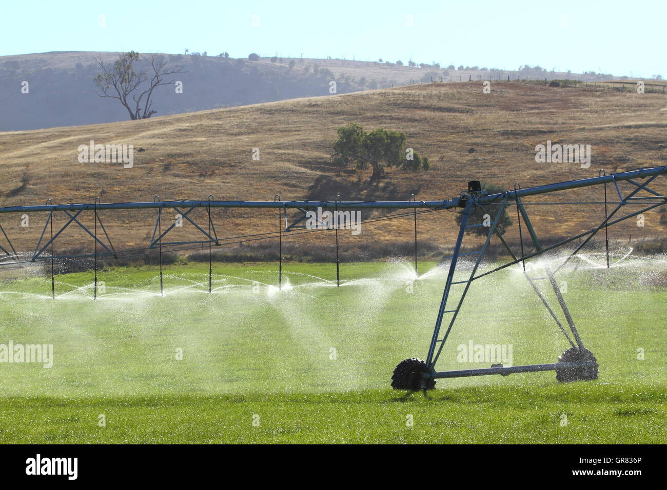 Un perno di un sistema di irrigazione irrigazione di una coltura in Ouse, Tasmania, Australia Foto Stock