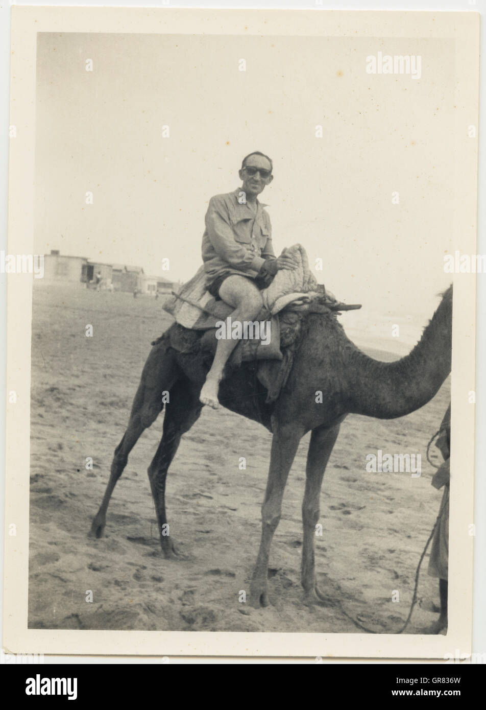 L'uomo sul cammello 1965 BW Foto Stock