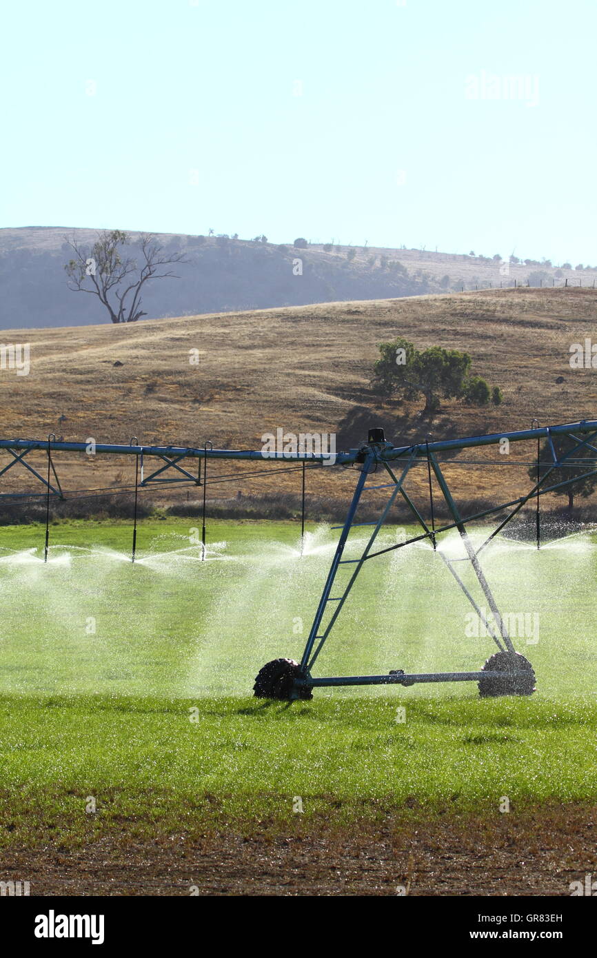 Un perno di un sistema di irrigazione irrigazione di una coltura in Ouse, Tasmania, Australia Foto Stock