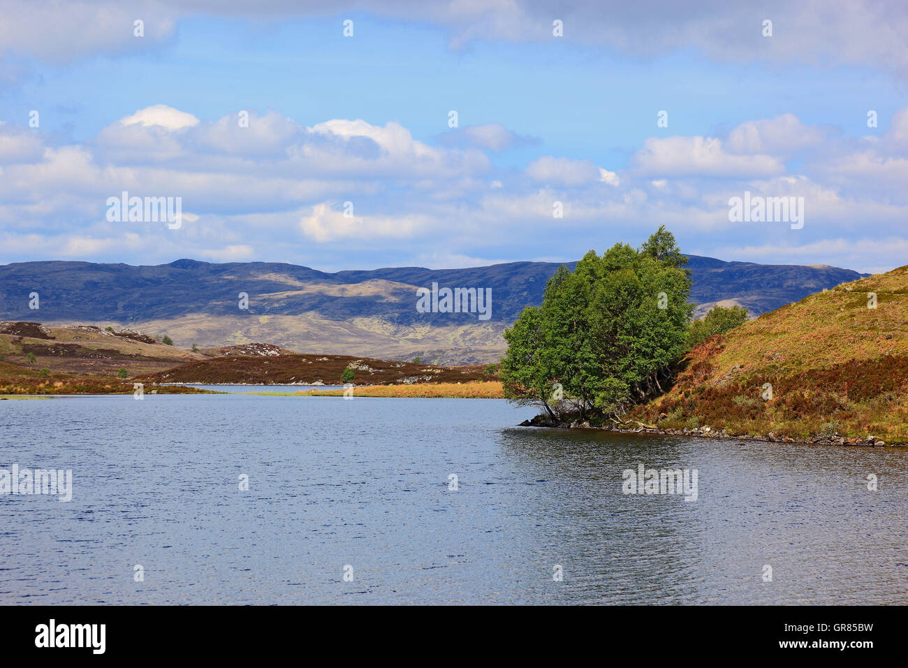 La Scozia, altopiani, paesaggi al Loch Tarff, acqua area di protezione Foto Stock