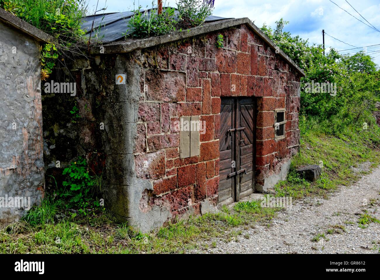 Aziende vinicole premere House nel seminterrato Vicolo di Abasár, Ungheria Foto Stock