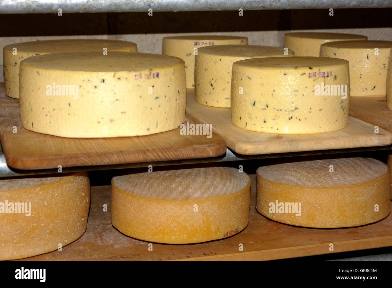 Spice di formaggio e di Formaggi stagionati focacce su tavole di legno Foto Stock