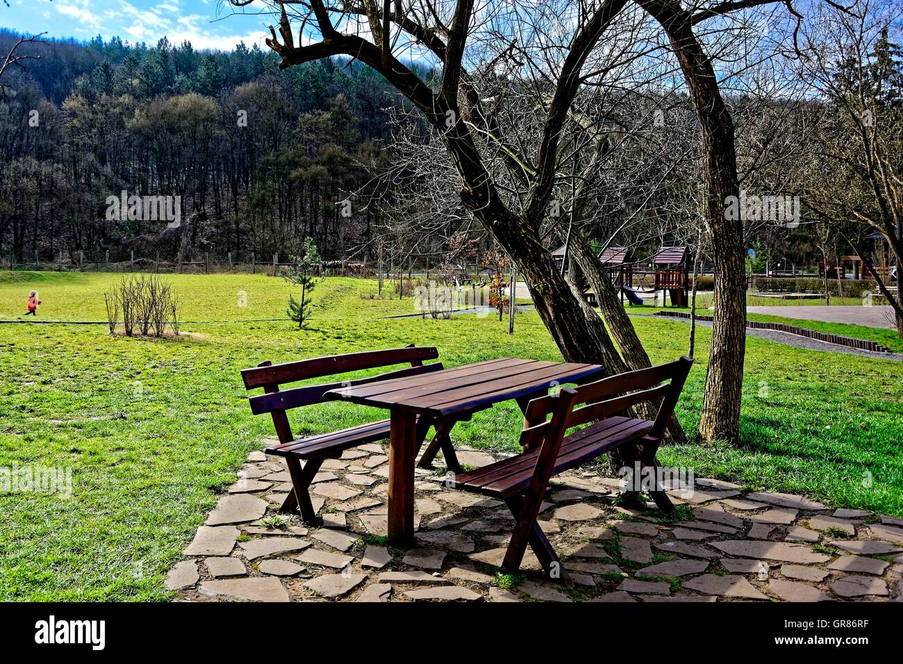 Disco ancorato panche di legno e un tavolo di legno sotto un albero Foto Stock