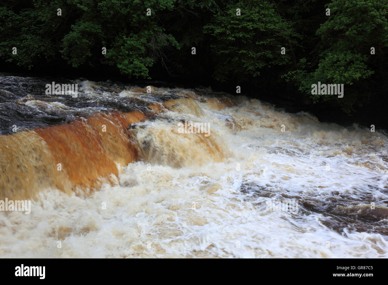 La Scozia, New Lanark in Scozia, con Lanark nella contea South Lanarkshire, impetuoso fiume Clyde con la ex uomo di cotone Foto Stock
