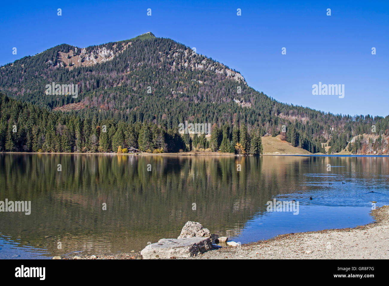 Lago Spitzing Foto Stock