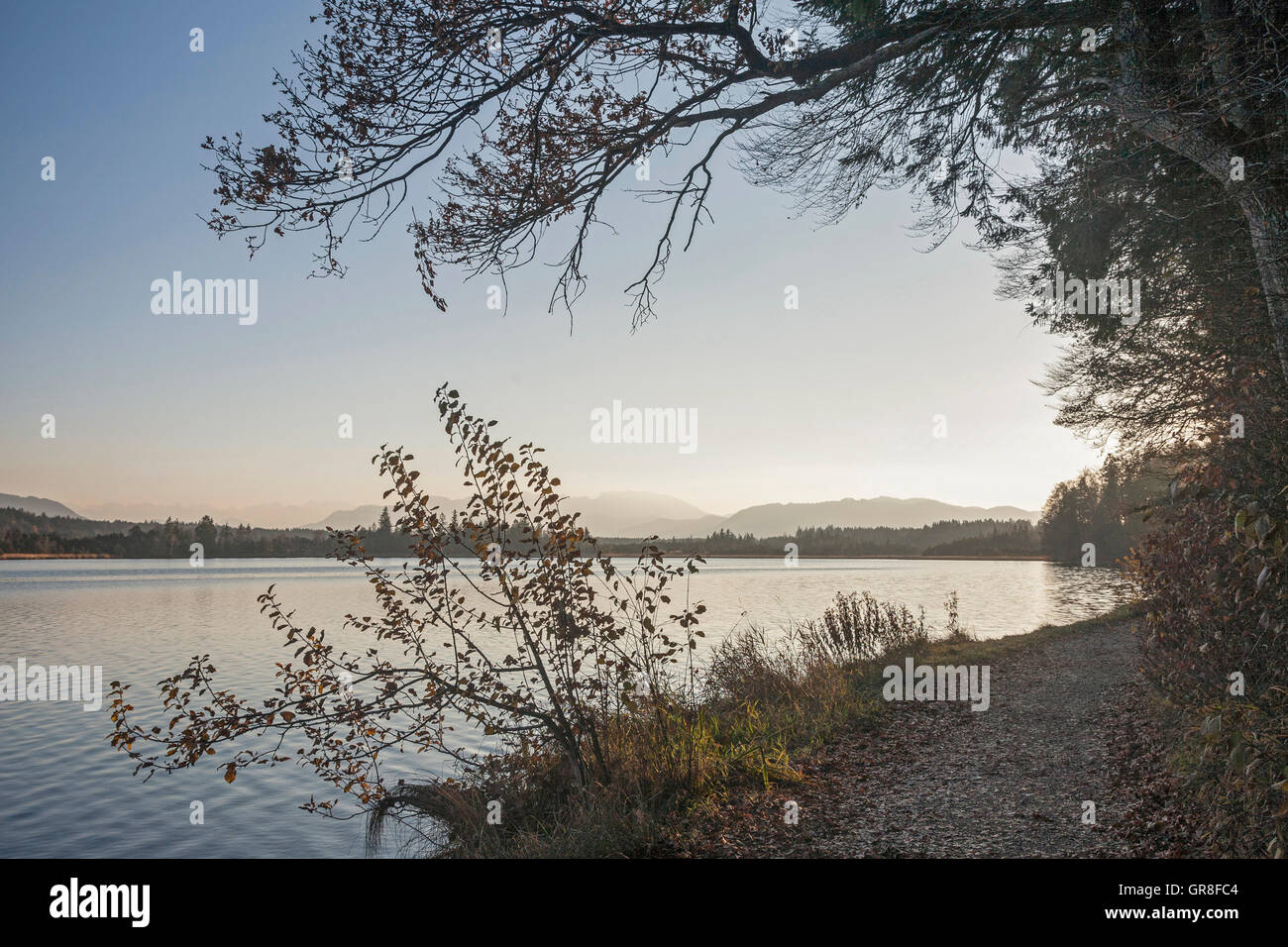 Il Kirchsee è un piccolo lago di torbiera nei pressi di Bad Toelz Foto Stock