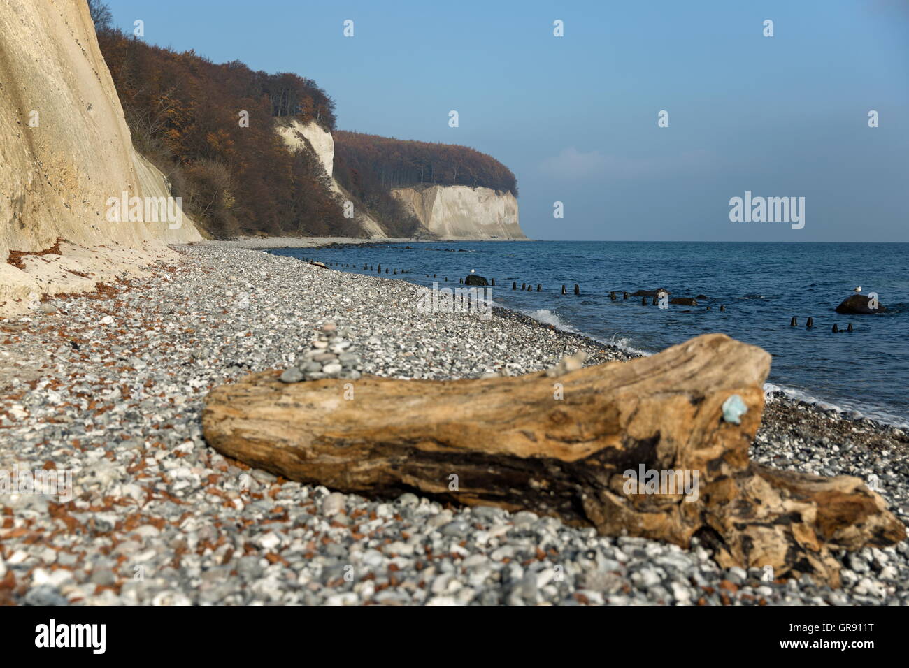 Costa con Flotsam Jasmund National Park, Ruegen Isola, Meclenburgo-Pomerania Occidentale, Germania Foto Stock