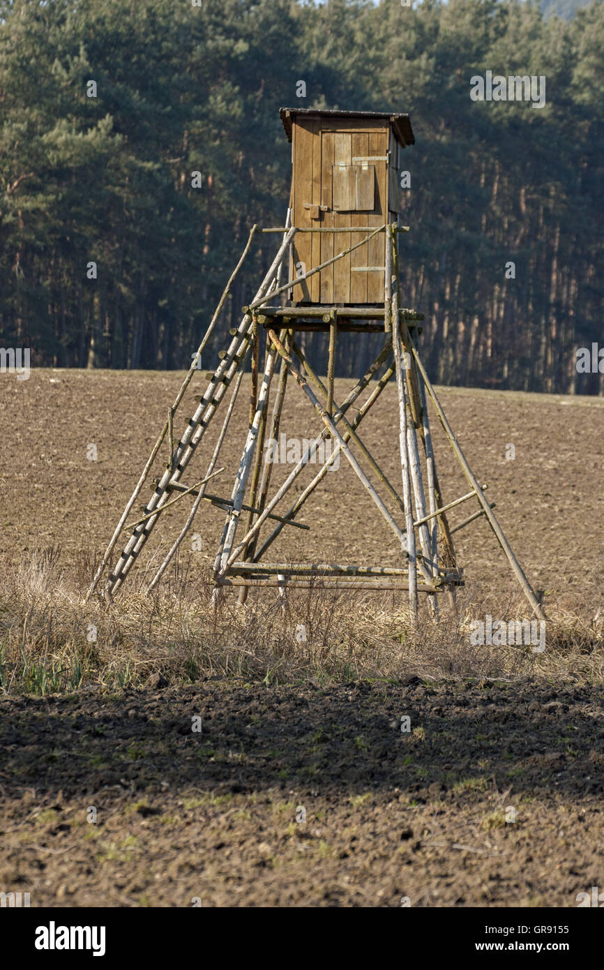 Seduta alta per cacciatori su un campo Foto Stock