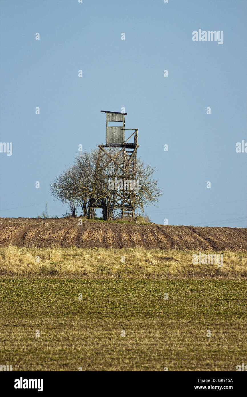 Seduta alta per cacciatori su un campo Foto Stock