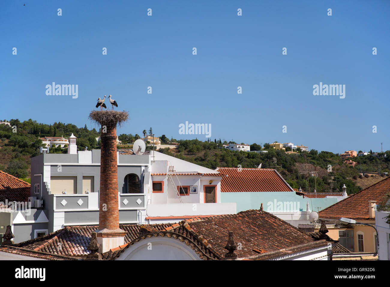 Tre Cicogne in piedi di Horst su un camino, Silves, Algarve, Portogallo, Europa Foto Stock