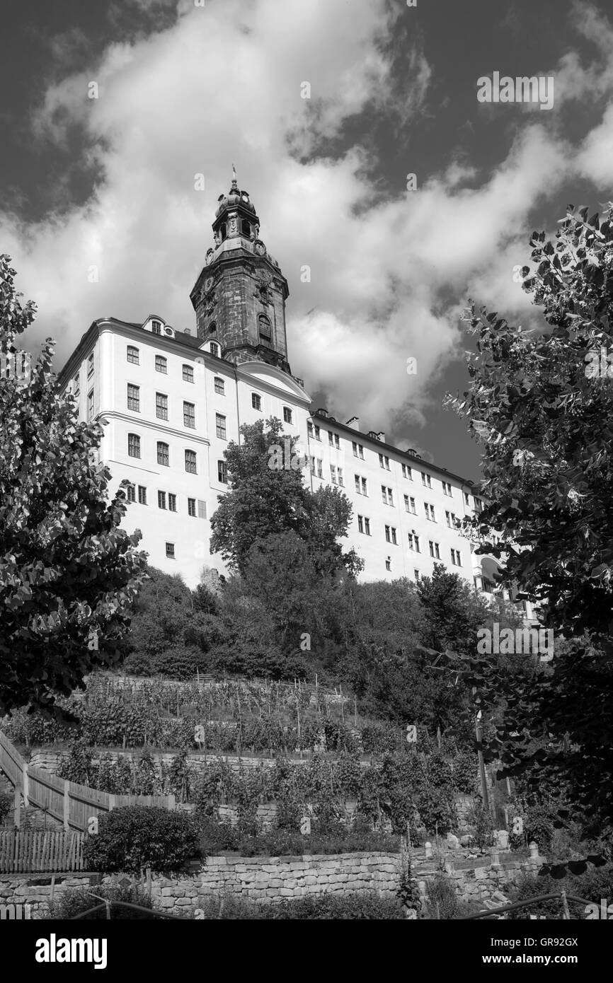 Il castello di Heidecksburg a Rudolstadt, affacciato sulla torre del castello dalla Città Vecchia, Turingia, Germania Foto Stock