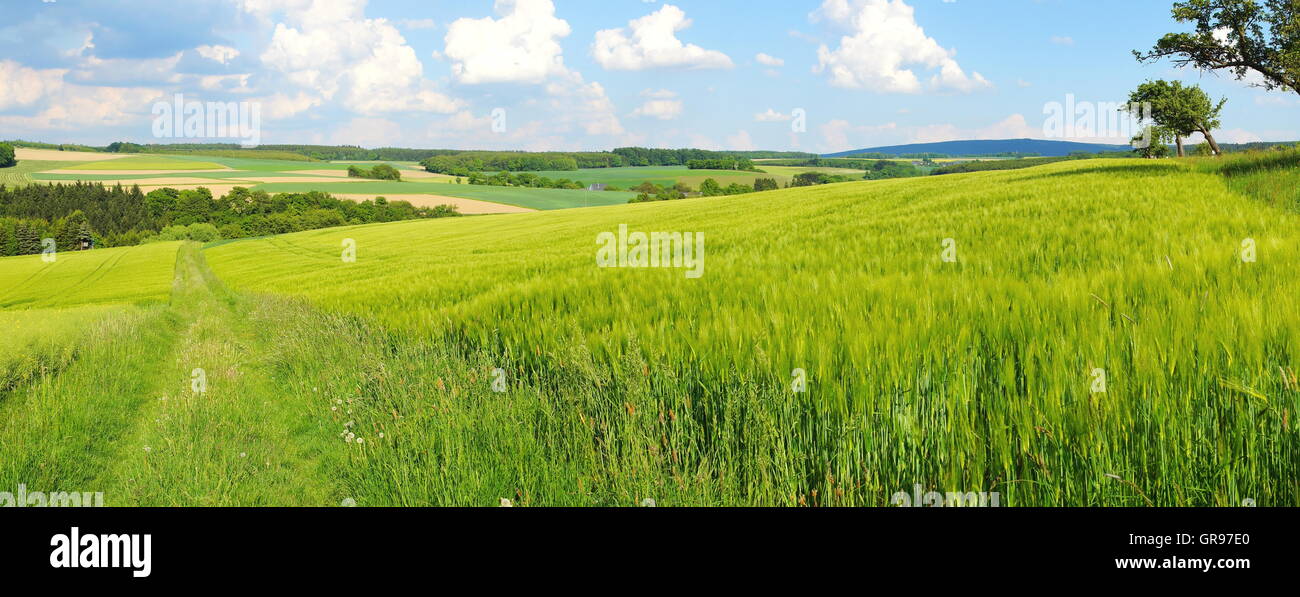 Verde paesaggio di primavera nella centrale di Hunsrück Panorama Foto Stock